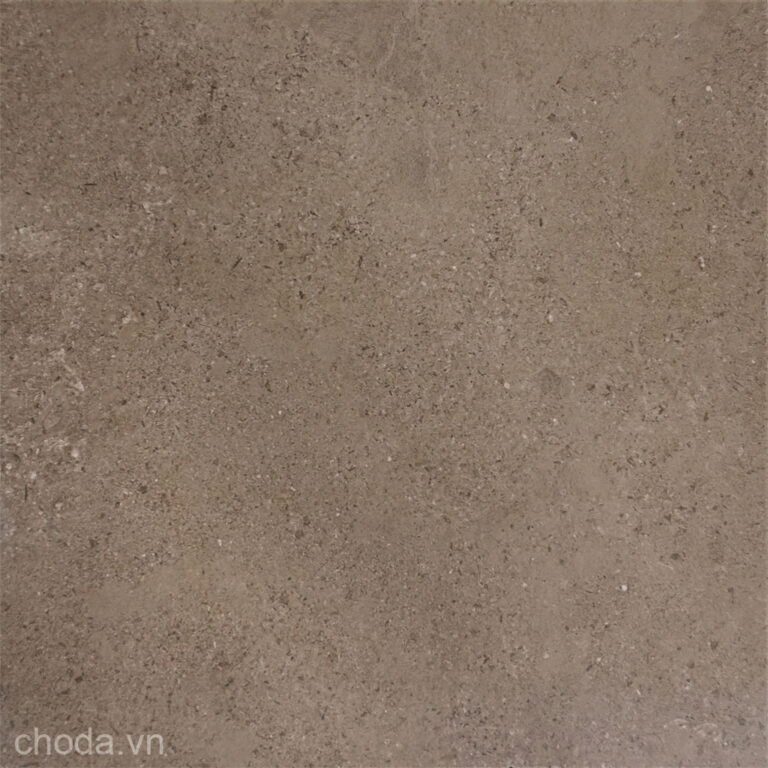 Gạch Màu Nâu 60X60 Royal FL6005 Đá Bán Bóng Lappato FL6005 Gạch Vân Xi Măng Royal FL6005