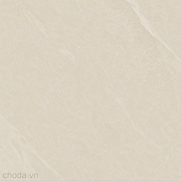 Gạch  Apodio 66262002