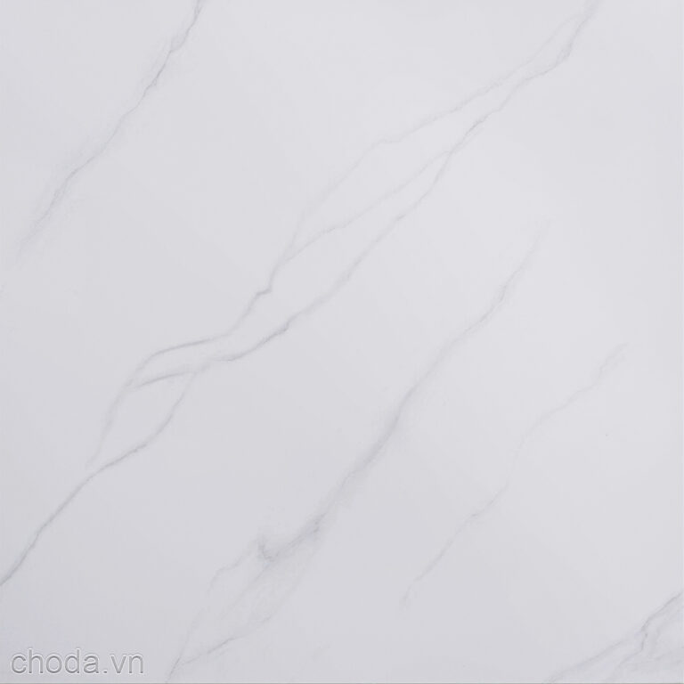 Gạch Vân Khói World Tiles 6301