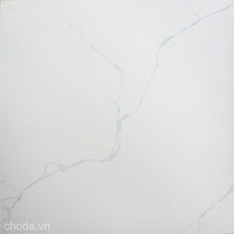 Gạch Vân Khói World Tiles 8301
