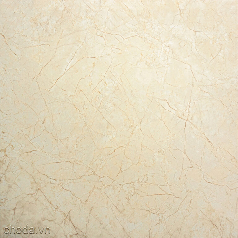 Gạch Vân Đá Tự Nhiên World Tiles 8309