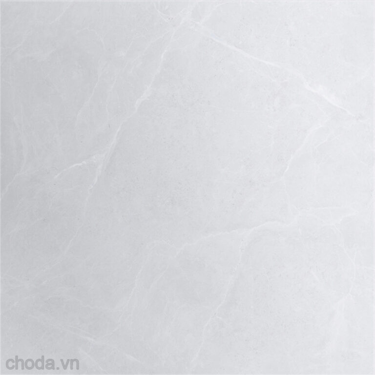 Gạch Vân Đá Tự Nhiên Vinatile VP6576