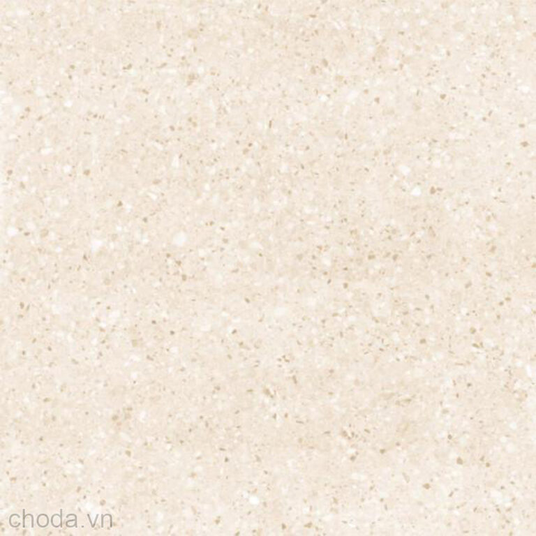 Gạch Giả Terrazzo Vitto 5429