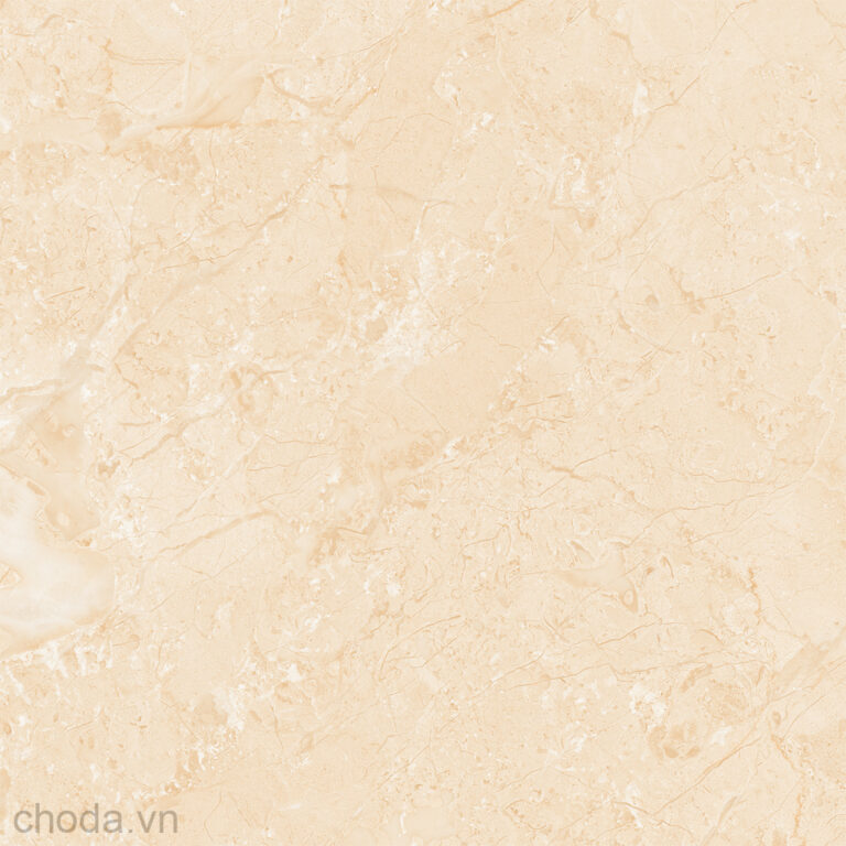 Gạch Vân Đá Tự Nhiên Apodio 88282013