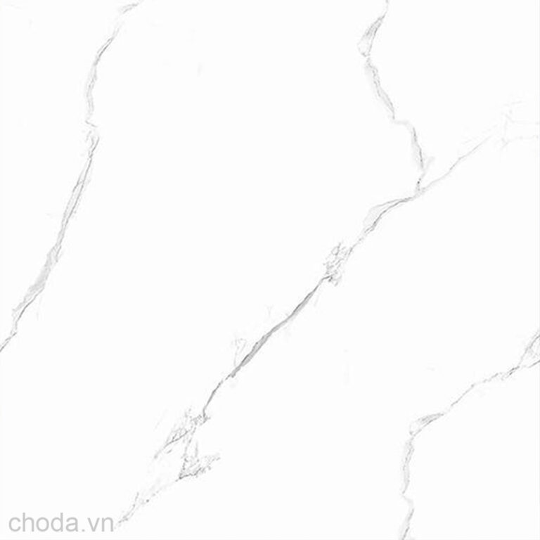 Gạch Vân Khói TTC CN88008