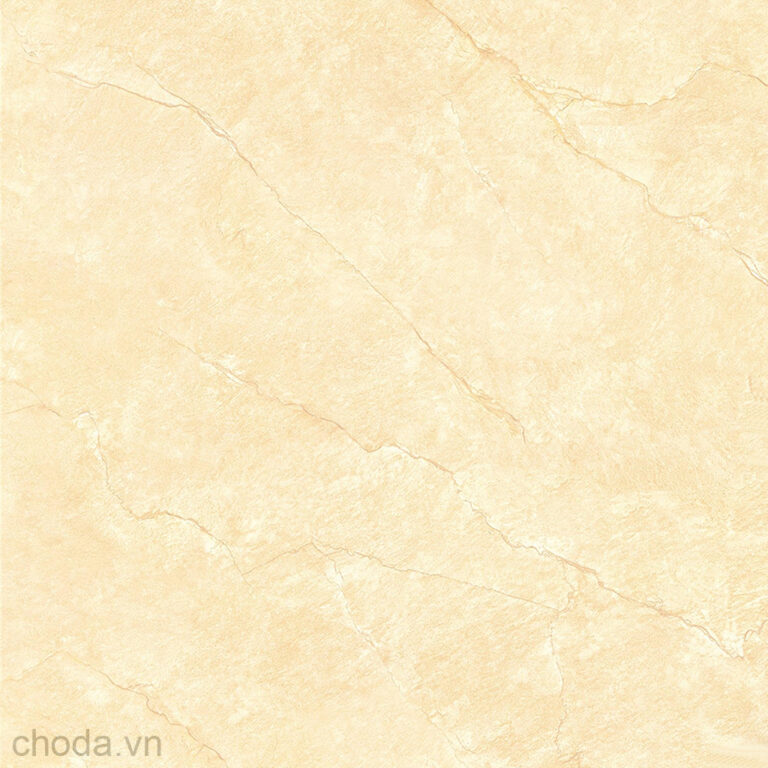 Gạch Vân Đá Tự Nhiên TTC CN88012