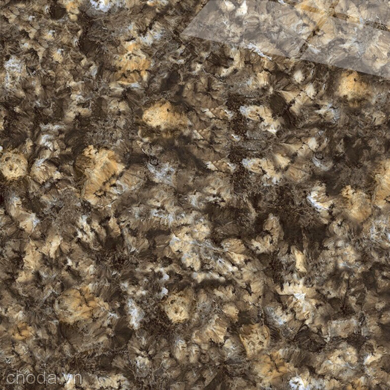 Gạch Vân Đá Tự Nhiên Catalan 80024