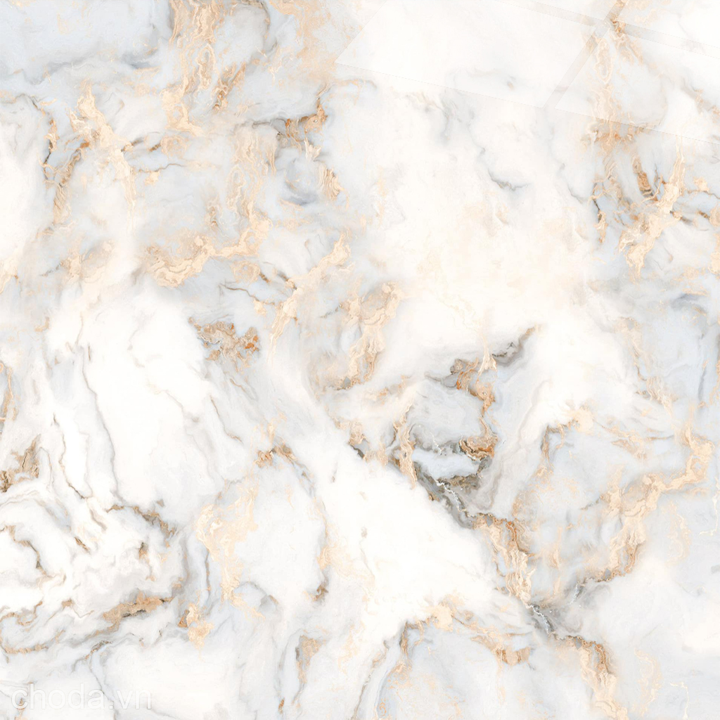Gạch Trắng Vàng Kim 80x80 Catalan 80073 - Mặt 1
