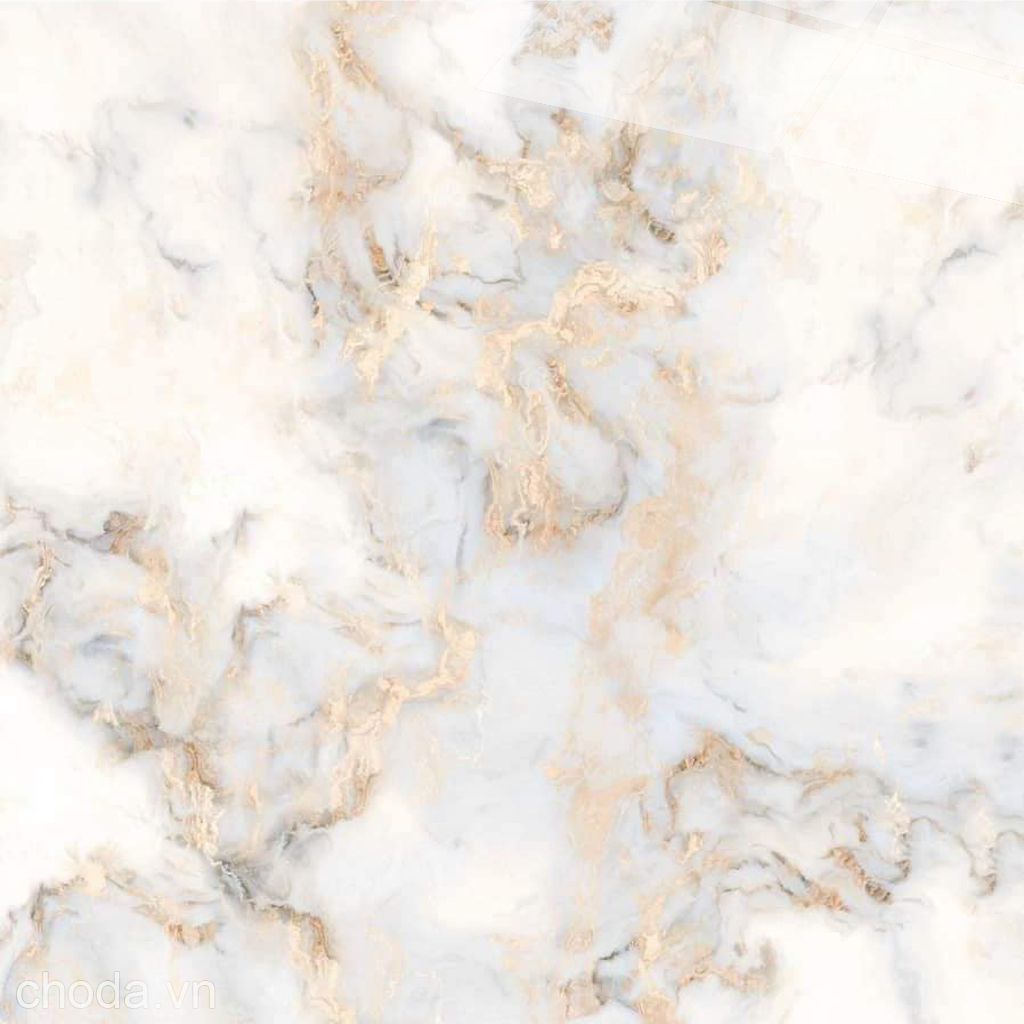 Gạch Trắng Vàng Kim 80x80 Catalan 80073 - Mặt 2