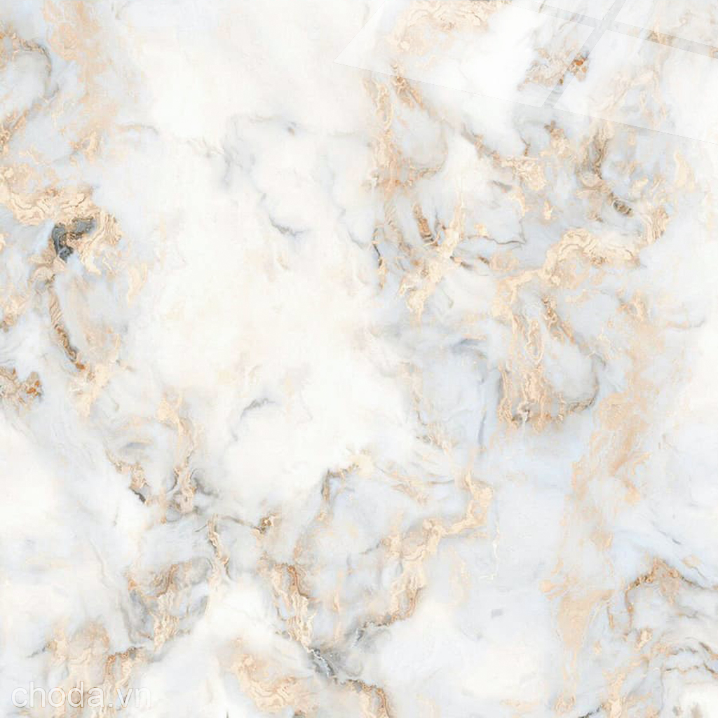 Gạch Trắng Vàng Kim 80x80 Catalan 80073 - Mặt 3