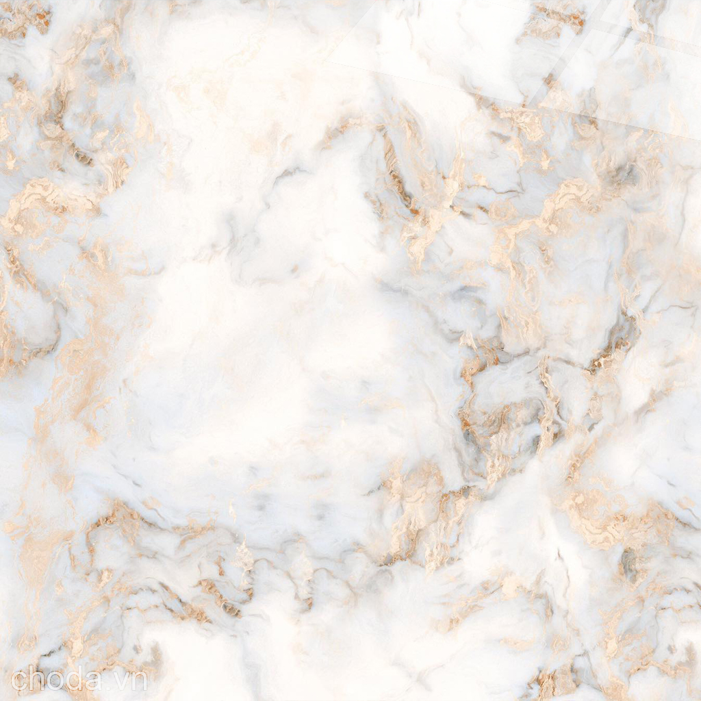 Gạch Trắng Vàng Kim 80x80 Catalan 80073 - Mặt 4