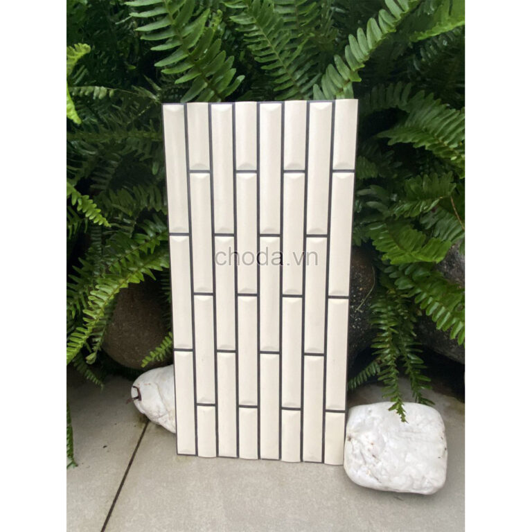 Gạch Kiểu Sole Việt Nhật BB 577