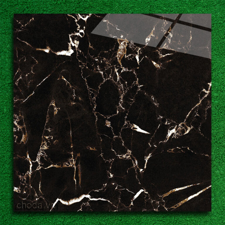 Gạch Vân Đá Tự Nhiên TTC CN66301