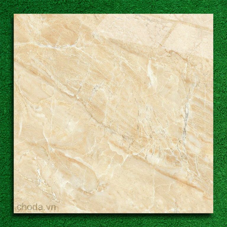 Gạch Vân Đá Tự Nhiên TTC CN66036