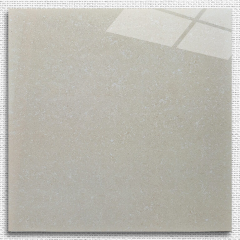 Gạch Giả Terrazzo Trung Nguyên HPT60505