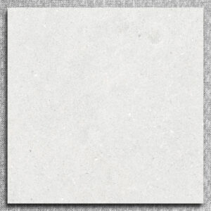 Gạch Giả Terrazzo 80x80 Apodio AF.10.88.76004 Đá Mờ